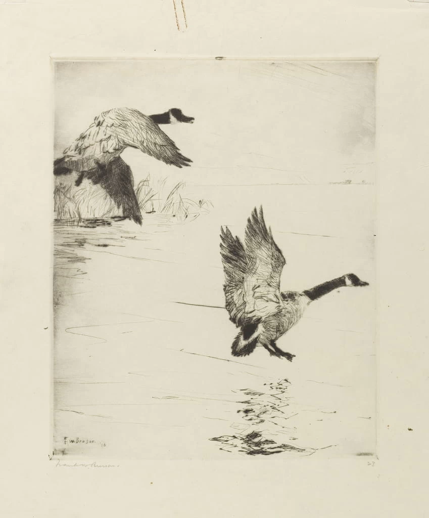 Oche che scendono - Brooklyn Museum of Art, New York